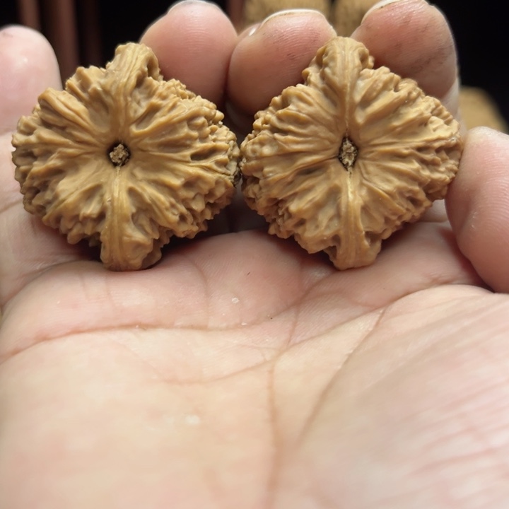 完全开放醉*南疆石