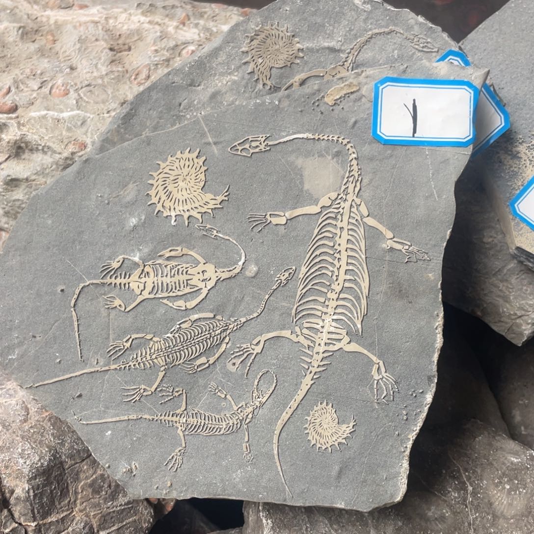 石材111111111111111111111111111