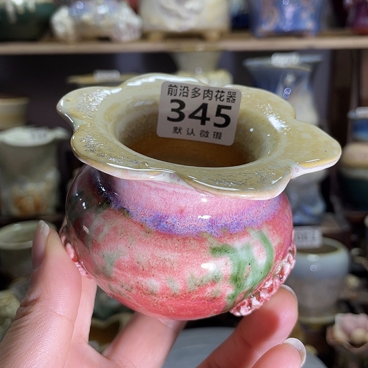 狼盆内口径5高度6