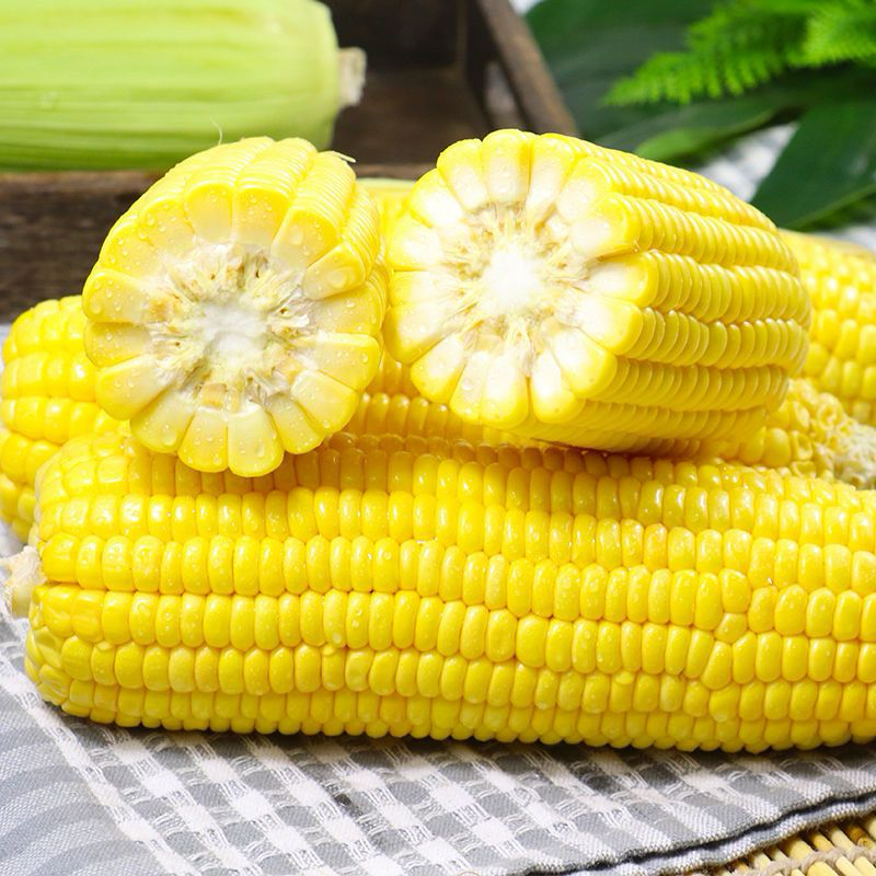 优选高山优质农产品当季新鲜脆嫩水果玉米颗粒饱满5/9斤包邮食用