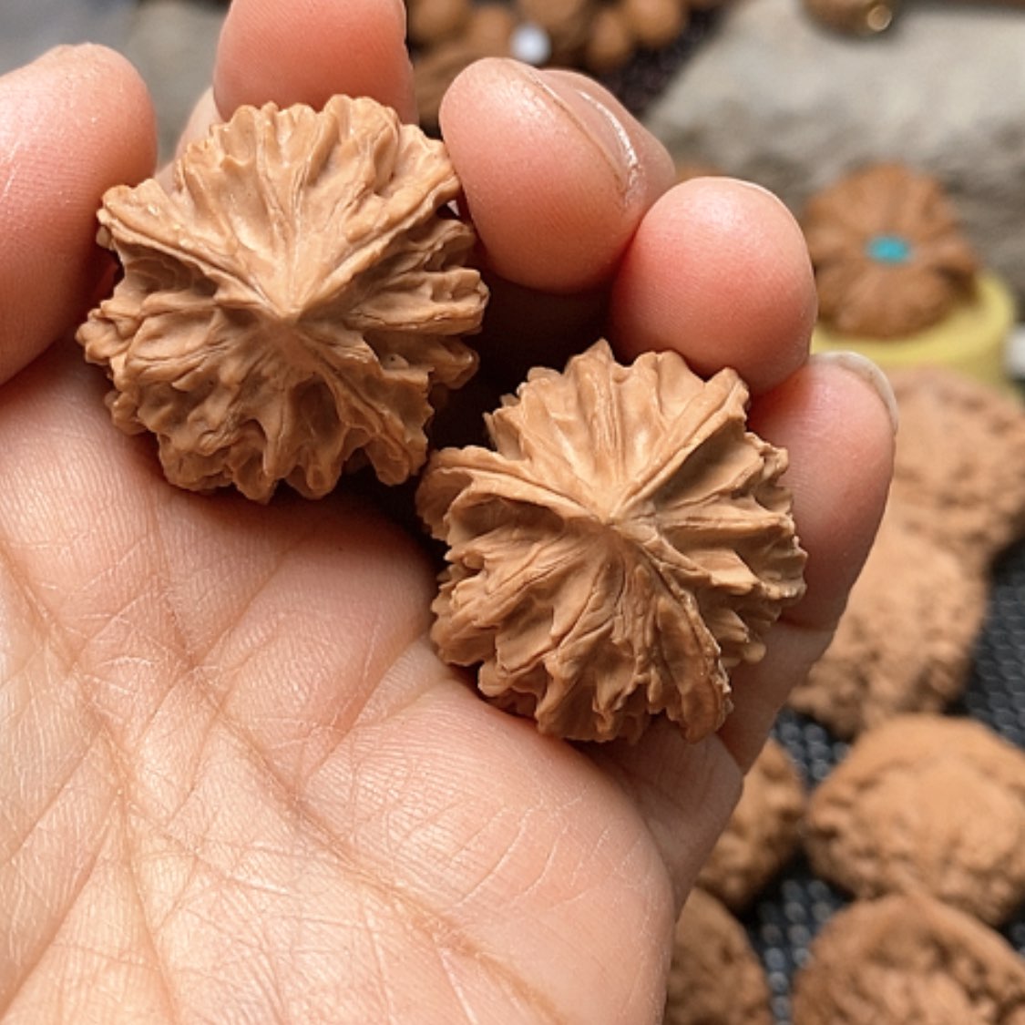 【闪购商品】文玩核桃把件三棱异型鹰嘴31