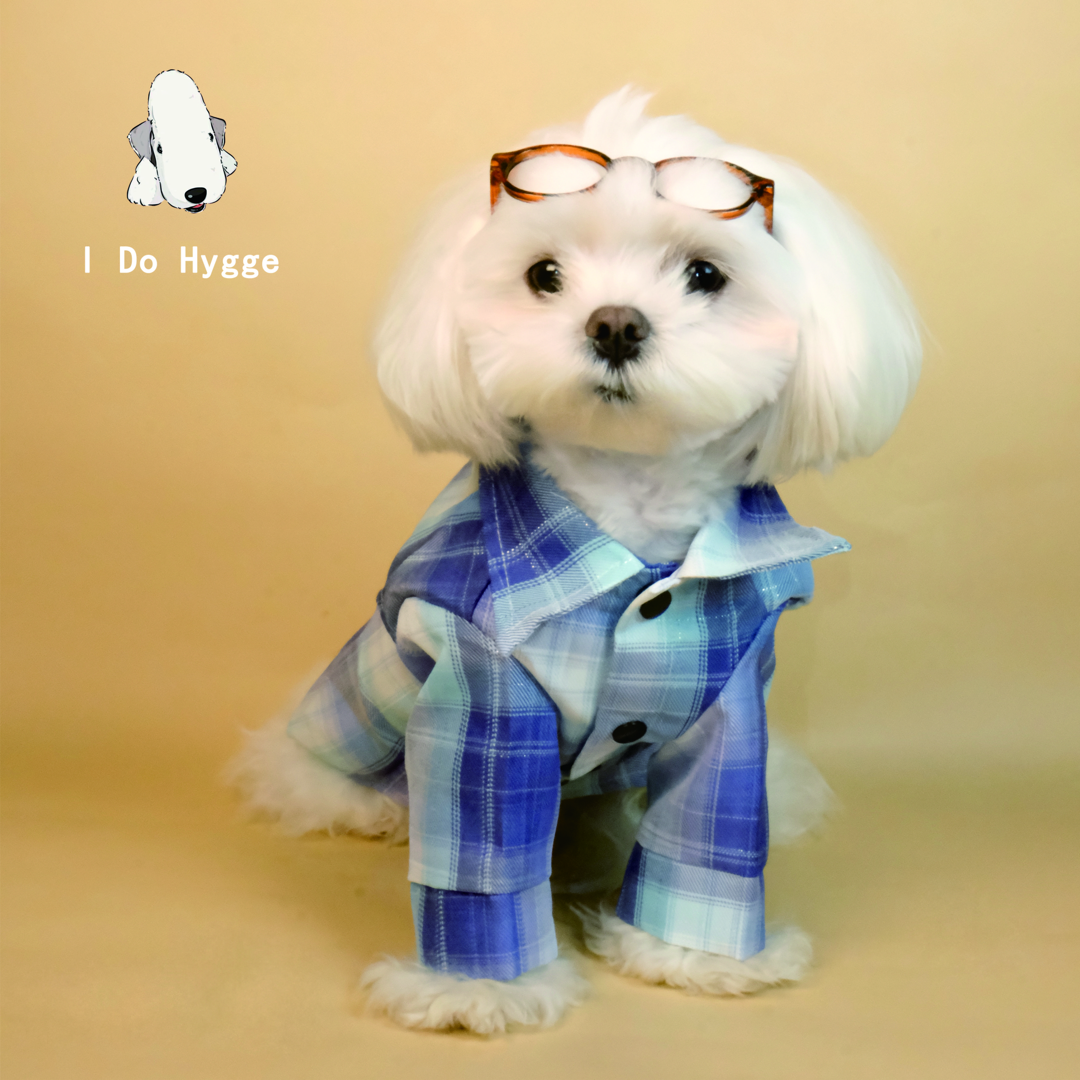 I Do Hygge宠物JK衬衫英伦风衬衫宠物格纹衬衫贝灵顿雪纳瑞服装