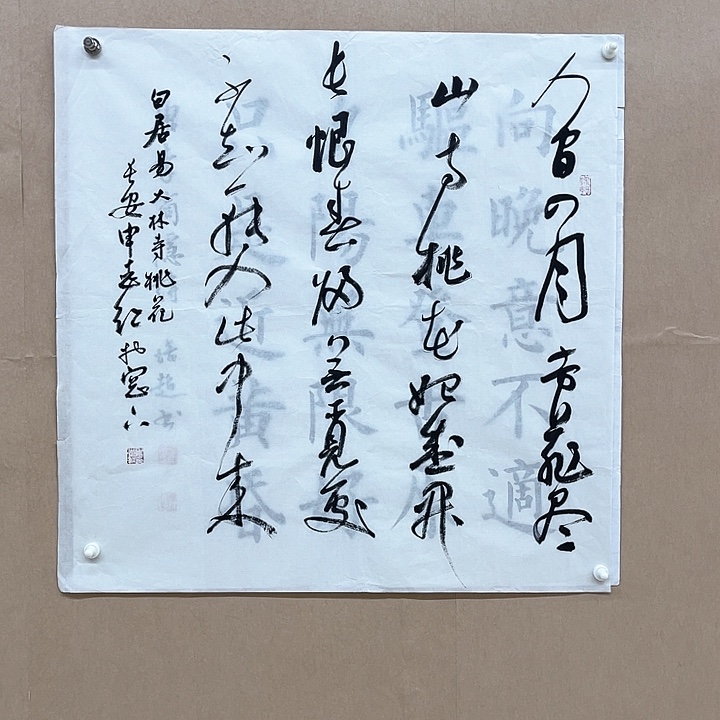 书法申志红68*68㎝陕西西安
