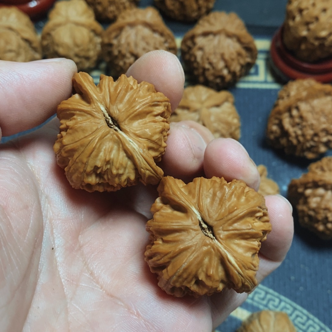 文玩核桃把件白狮子37 39.9