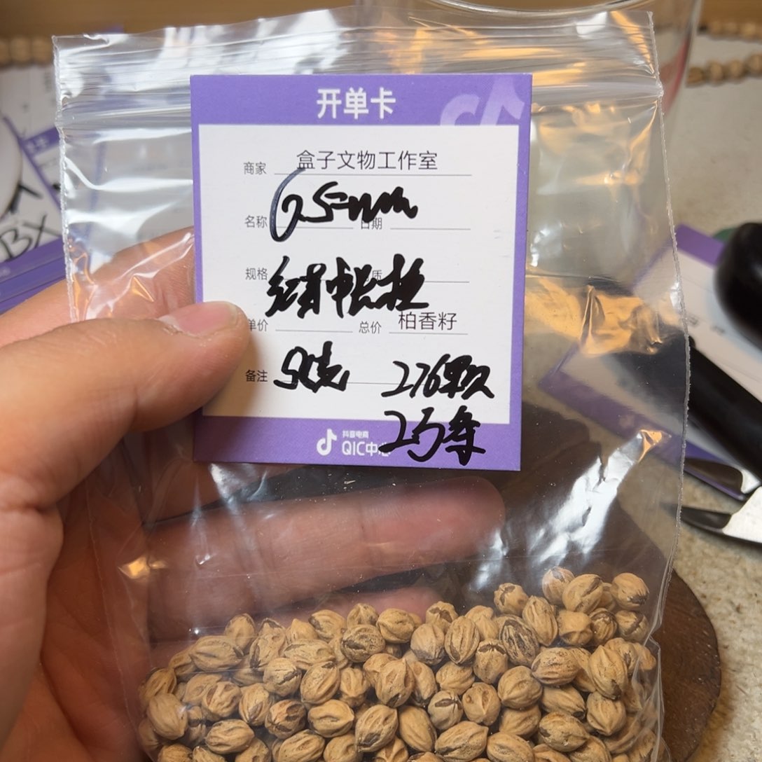 柏香籽/百香籽吊坠红牙长桩