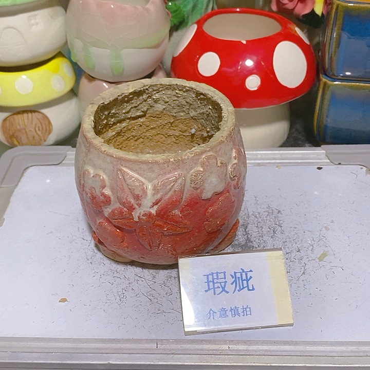 摆件多肉瑕疵盆有孔。