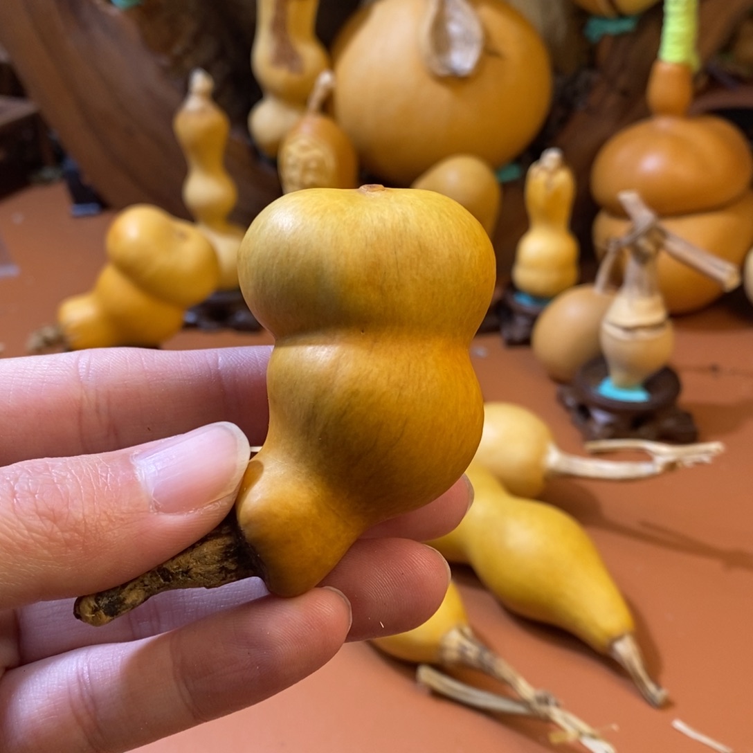 随***5教练来咯哦哦哦哦哦你