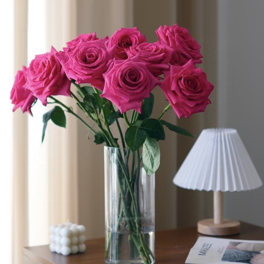 【弗洛伊德】20支单头玫瑰云南鲜花基地直发