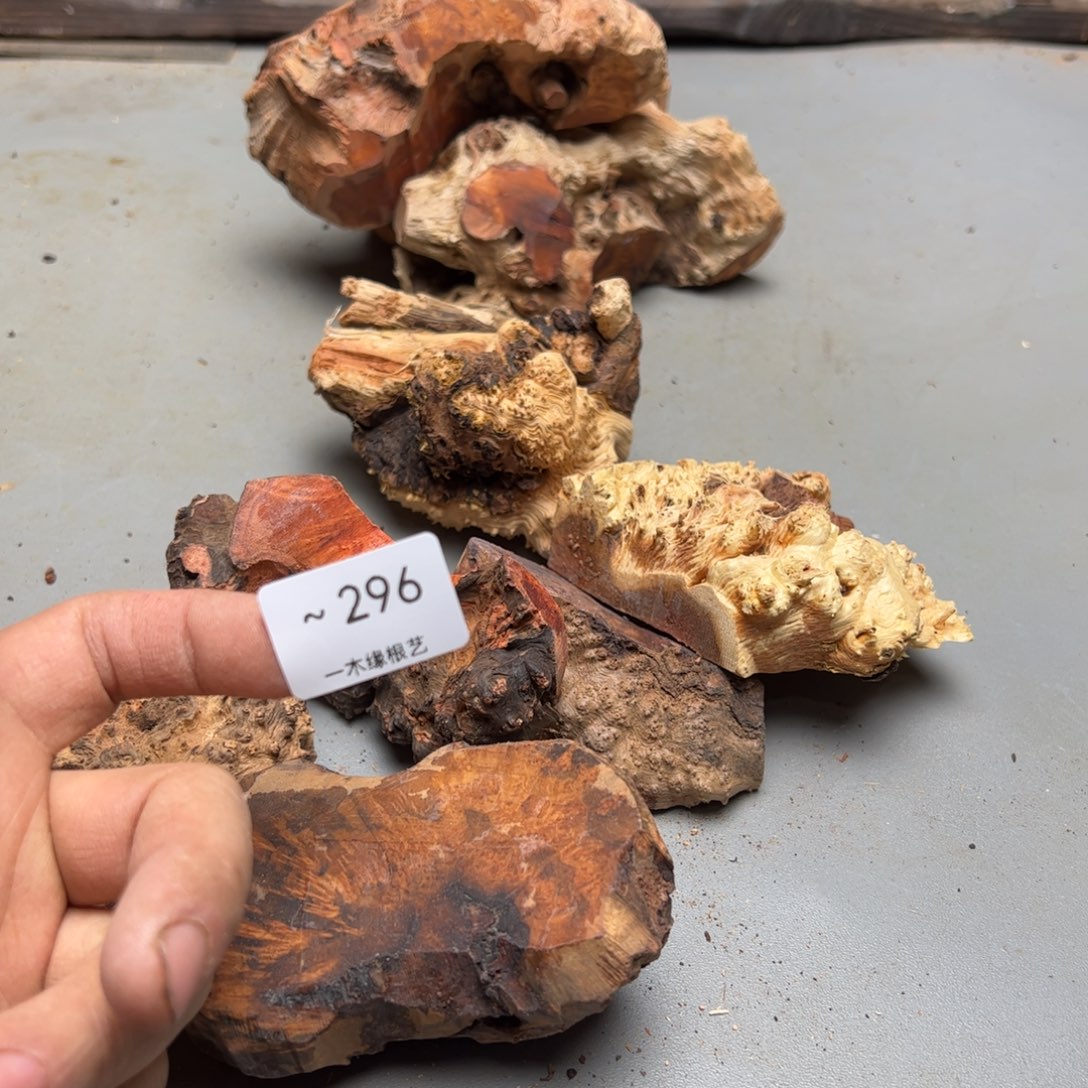 D***志无花朵          296