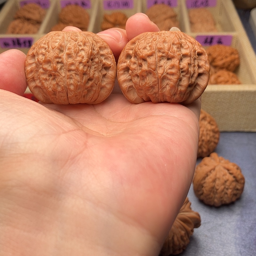 把件文玩核桃血麒麟狮子头42（头货精品