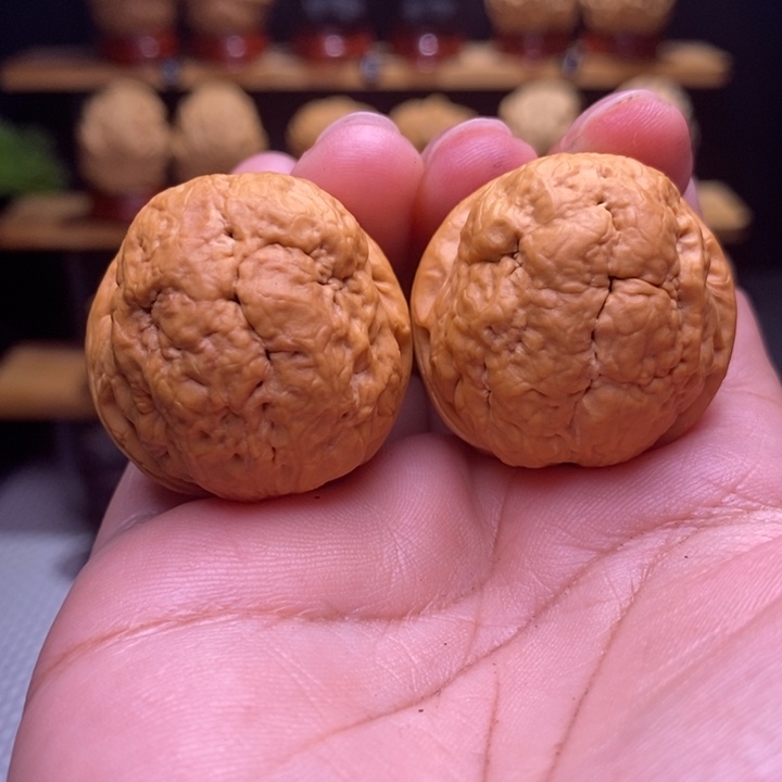 木质类云铁肌肉达摩6号33尺