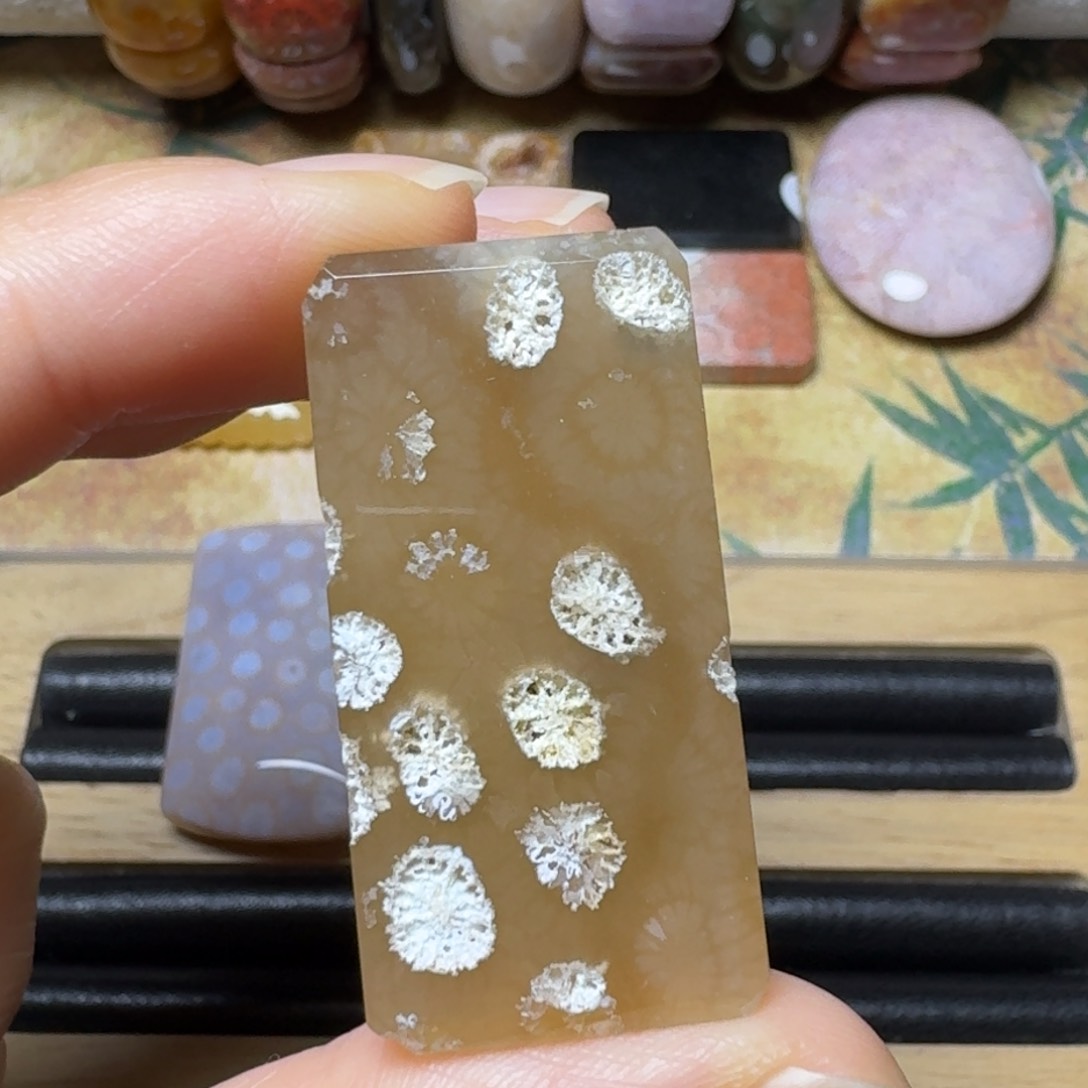 硅化玉糖底白骨骼花未镶嵌