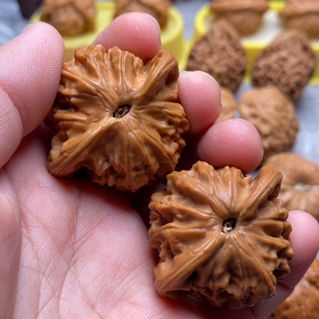 文玩核桃把件42全品图图精品