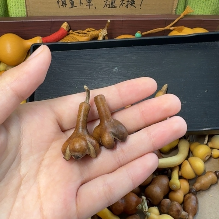 红***梅葫芦葫芦葫芦葫芦