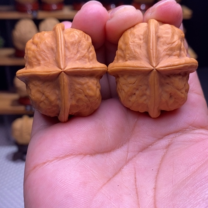 木质类云铁甲壳虫四棱20号