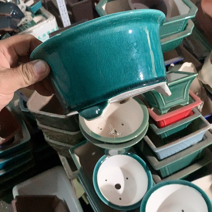 紫砂我们还有一个人在生活和