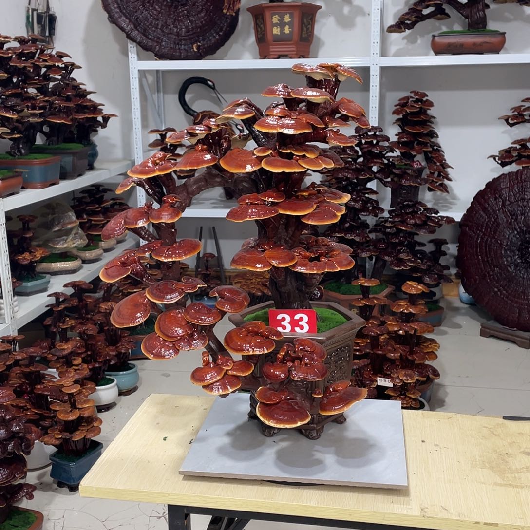 无花朵88888888888