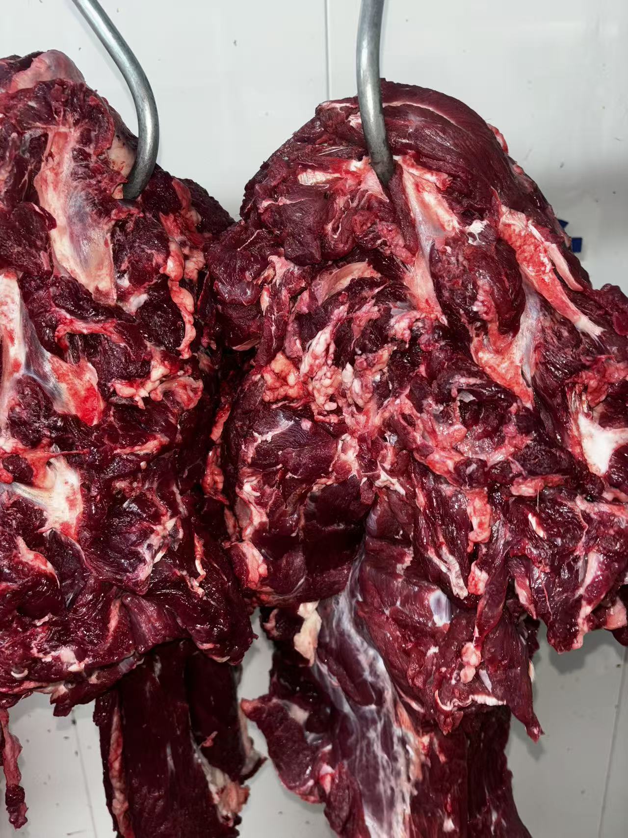 清真新鲜牛吊龙黄牛肉