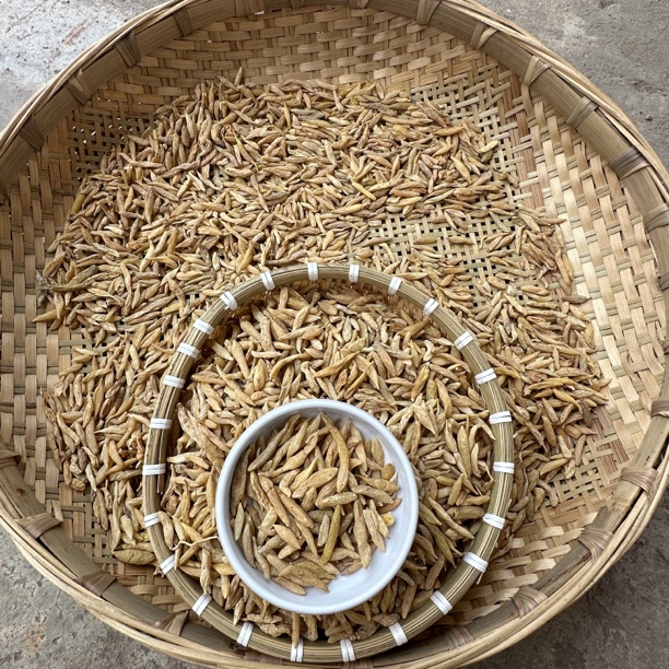 高山野麦冬有大.有小.味道浓