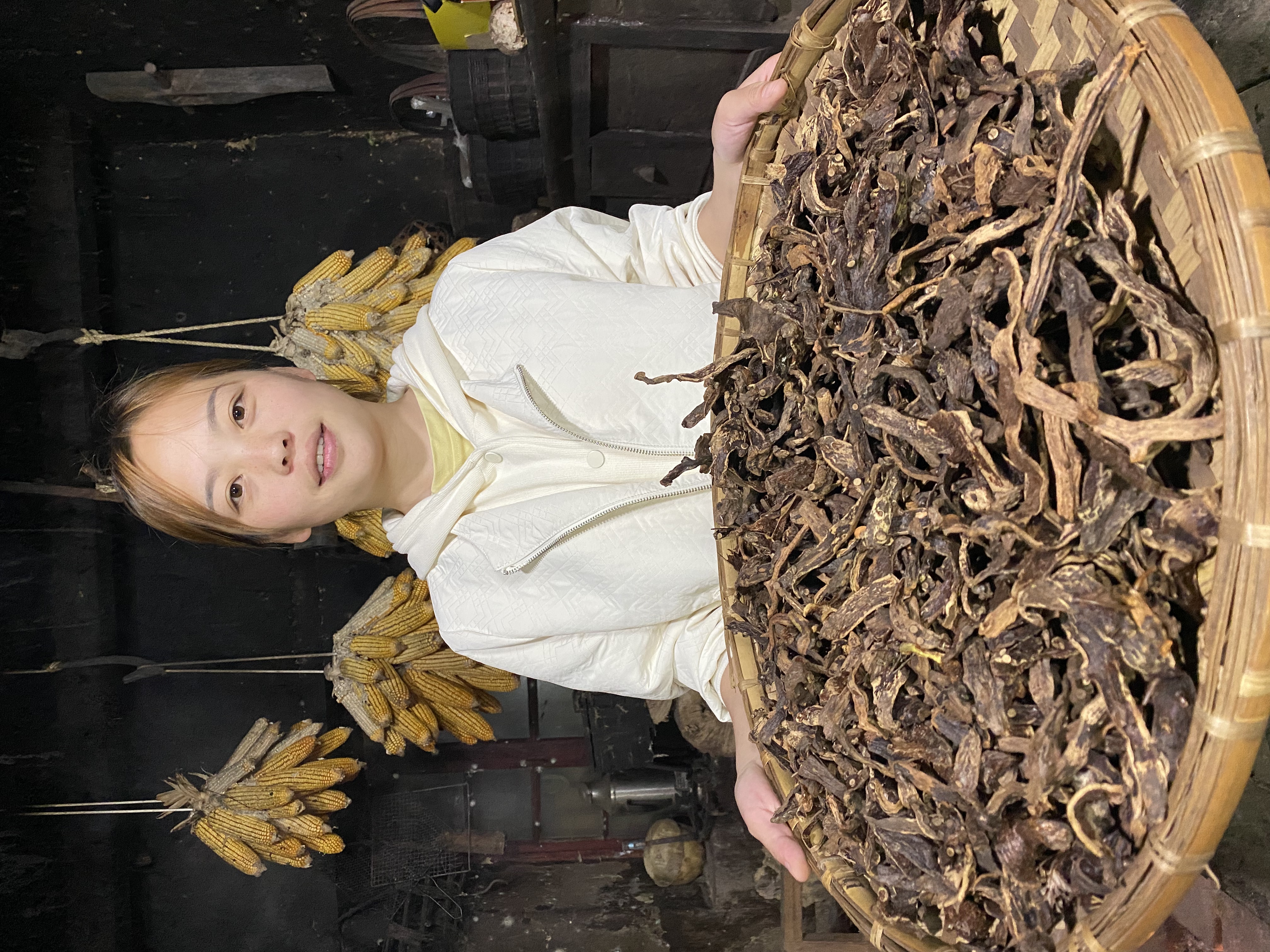 麻栗坡云岭山巴岩姜【骨碎补】猴姜姜黄