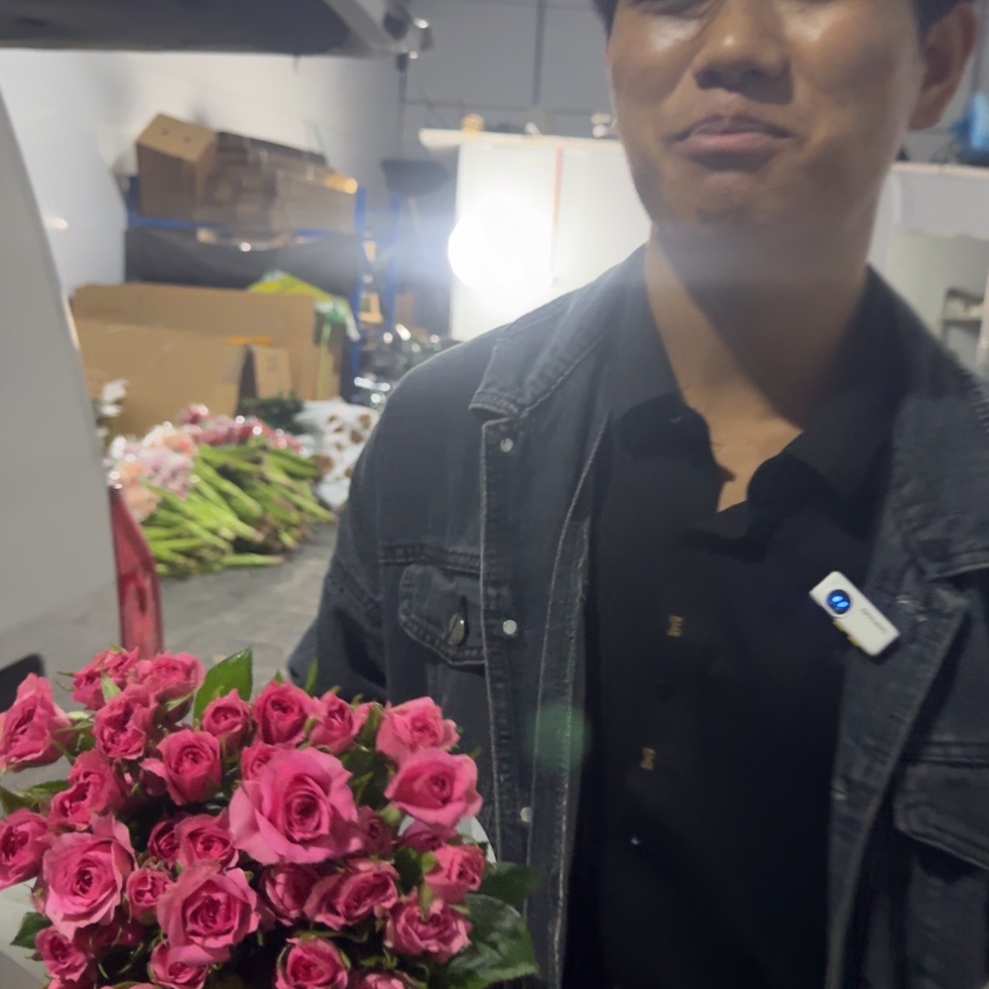苏菲2扎包邮价秒杀