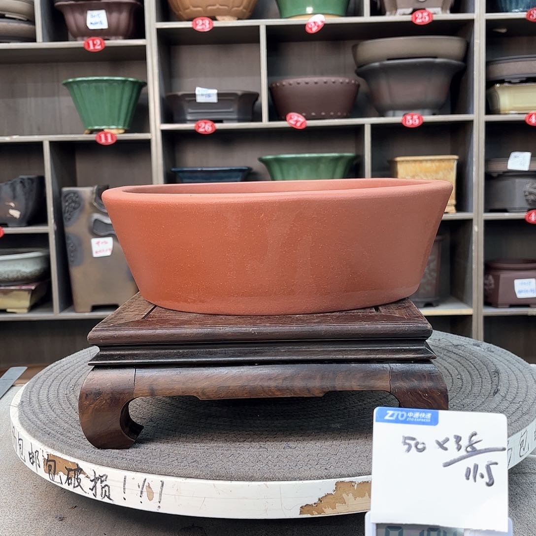 紫砂花盆老*紫砂的花也太美