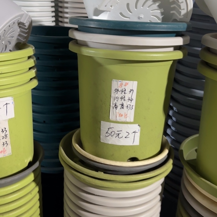 微瑕8#口径39无托果绿3个
