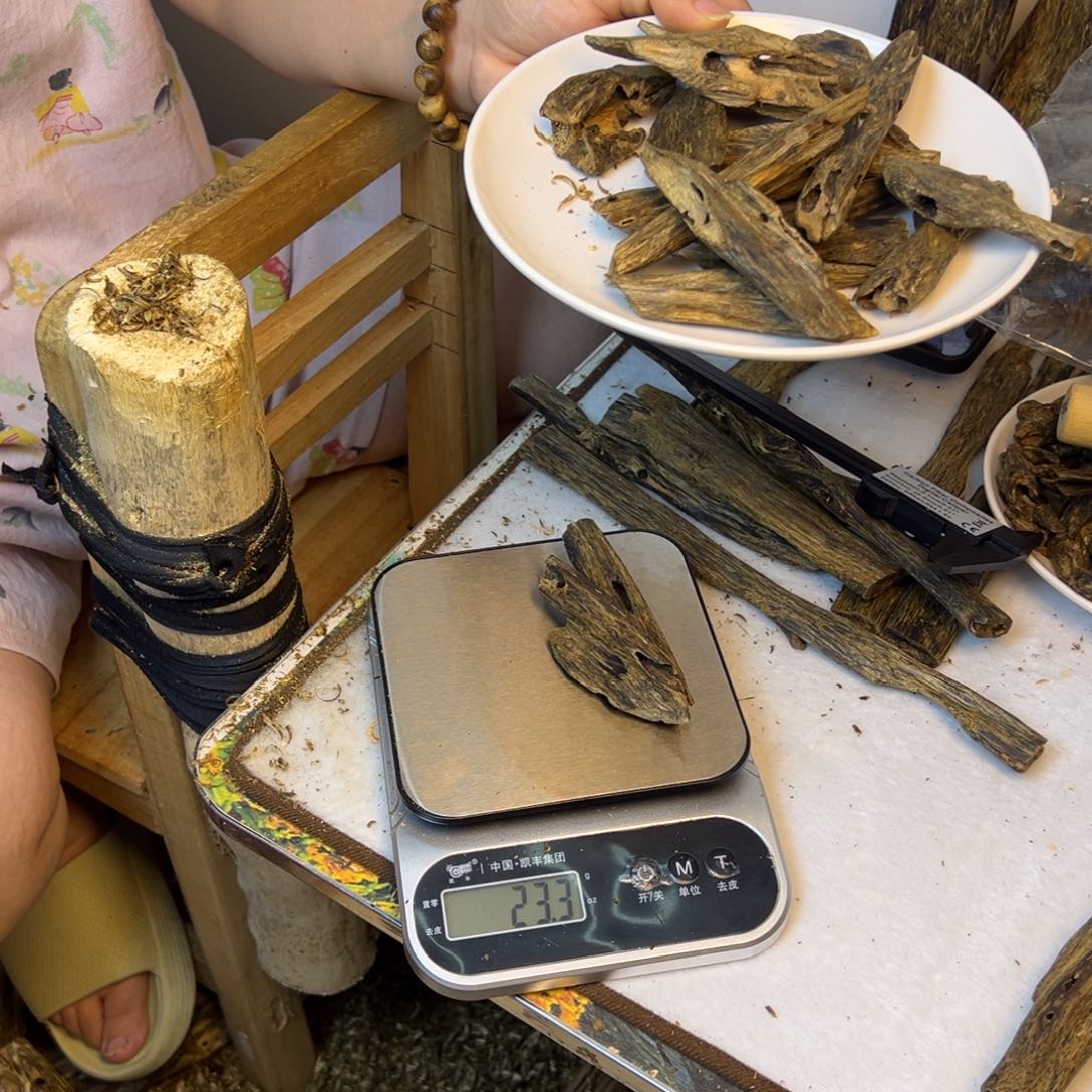 线香奇楠虫漏香23克