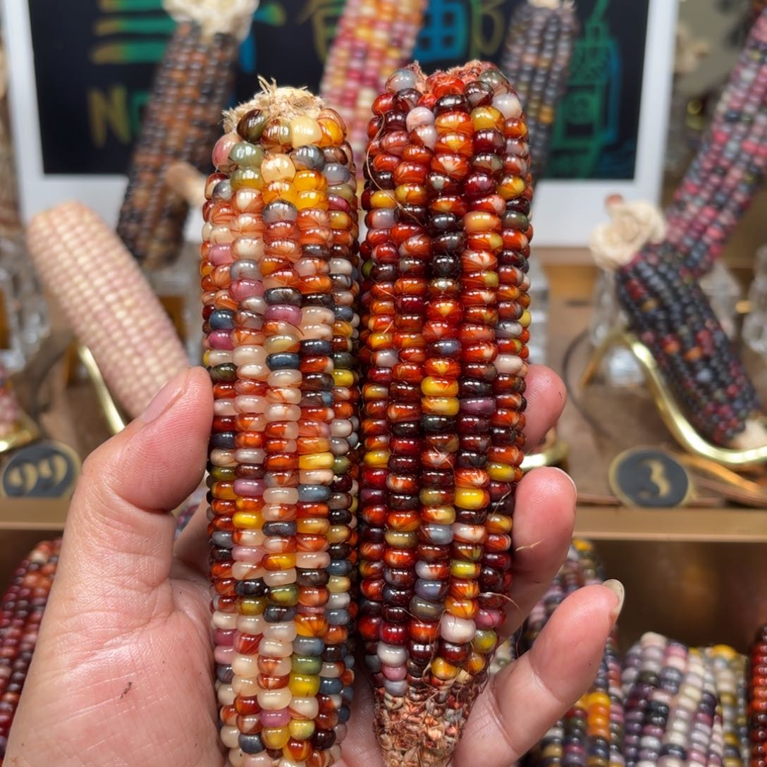 柏香籽/百香籽吊坠L****h