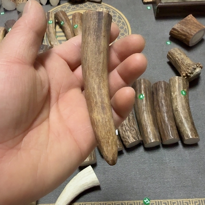 香榧木鹿角工艺品原料