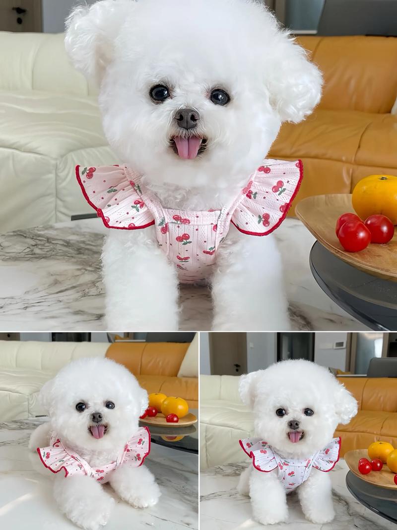 夏季薄款韩系飞袖背心吊带宠物猫狗空调服居家服