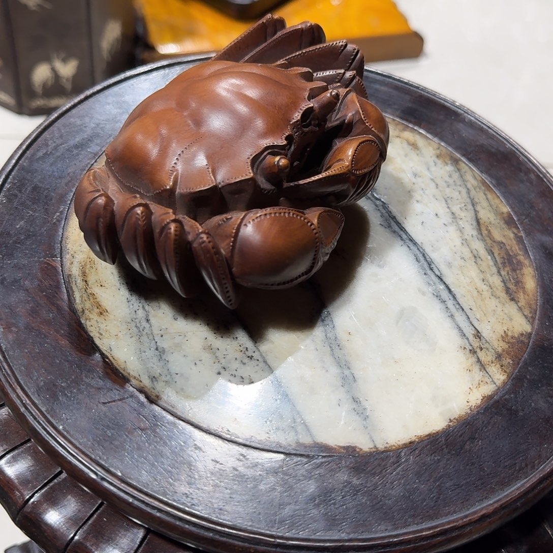 螃蟹小叶黄杨木超级福利超级福利