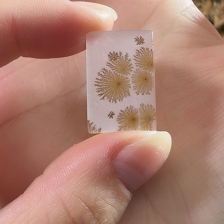 玛瑙/玉髓未镶嵌珠宝半成品