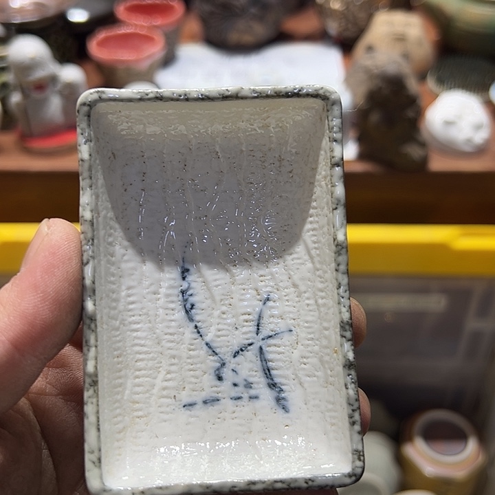 瓷片555555555555555