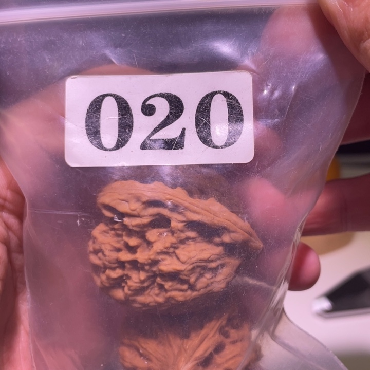 Y***p文玩核桃吊坠020南疆