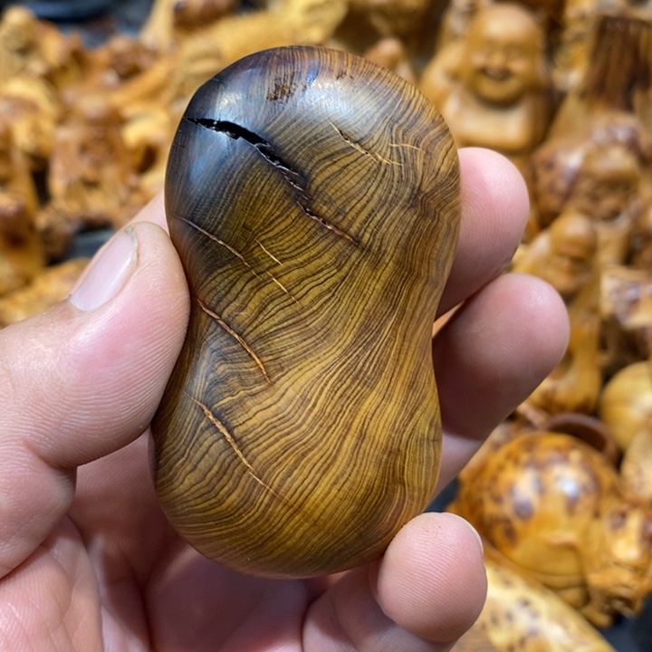 柏木崖柏1111111111