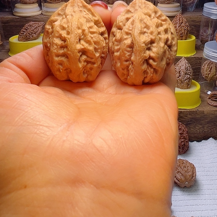 核桃5号车放漏漏漏