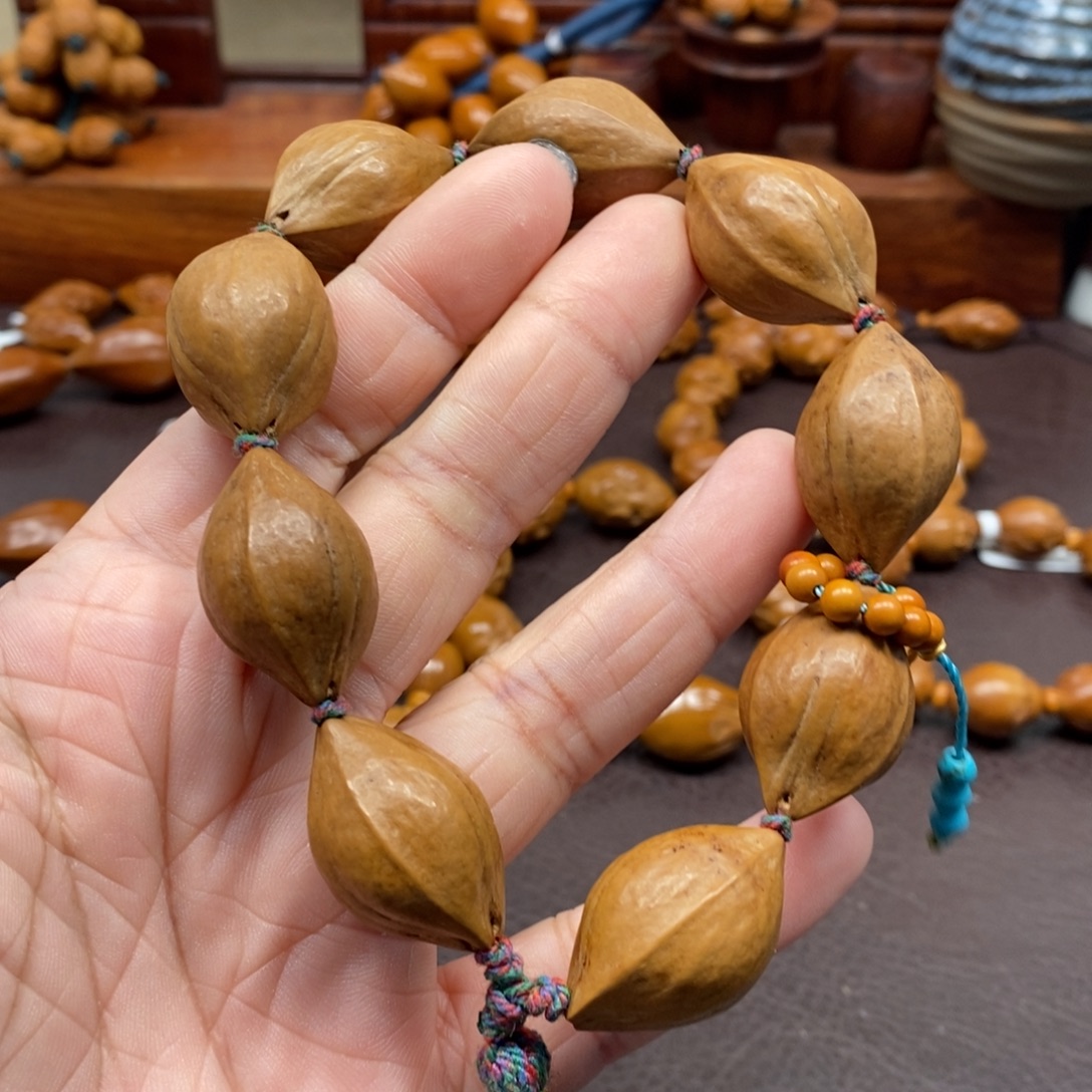 1.8橄榄核是原皮素核