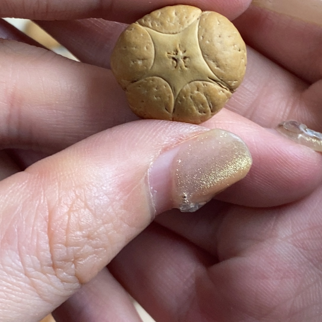 凤眼菩提吊坠五星上将19.6