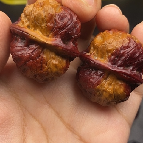 文玩核桃把件38尺疙瘩bao