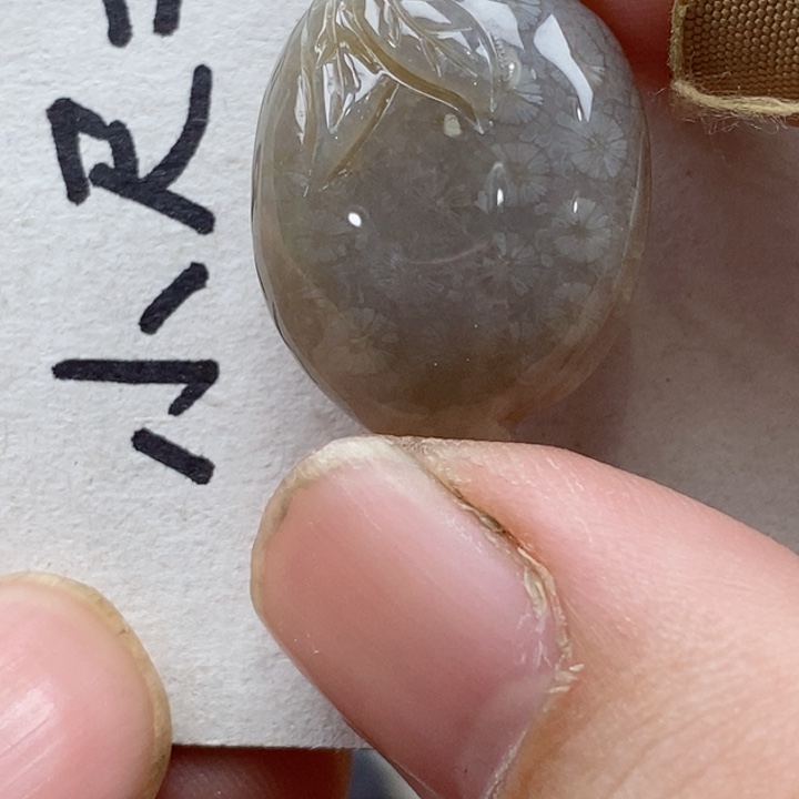 颈饰未镶嵌硅化珊瑚（珊瑚玉）