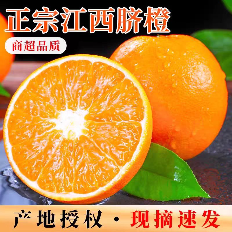 【正宗】江西赣南无籽A级脐橙产地直发树上熟现摘现发一口爆汁送礼