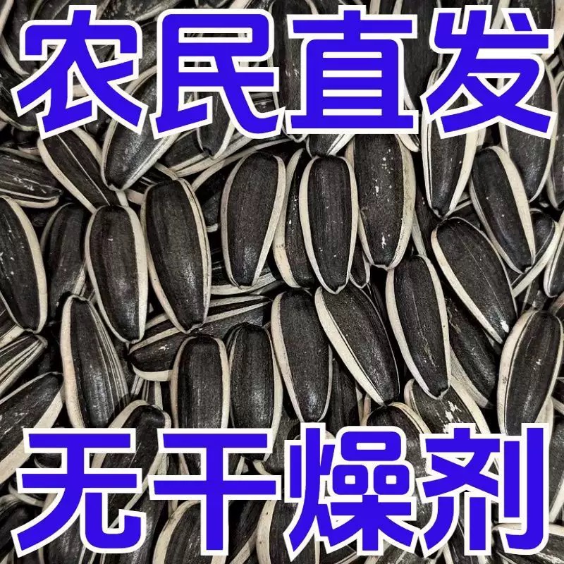 【买一斤送一斤】原味炒熟瓜子花皮葵花籽皮薄易磕