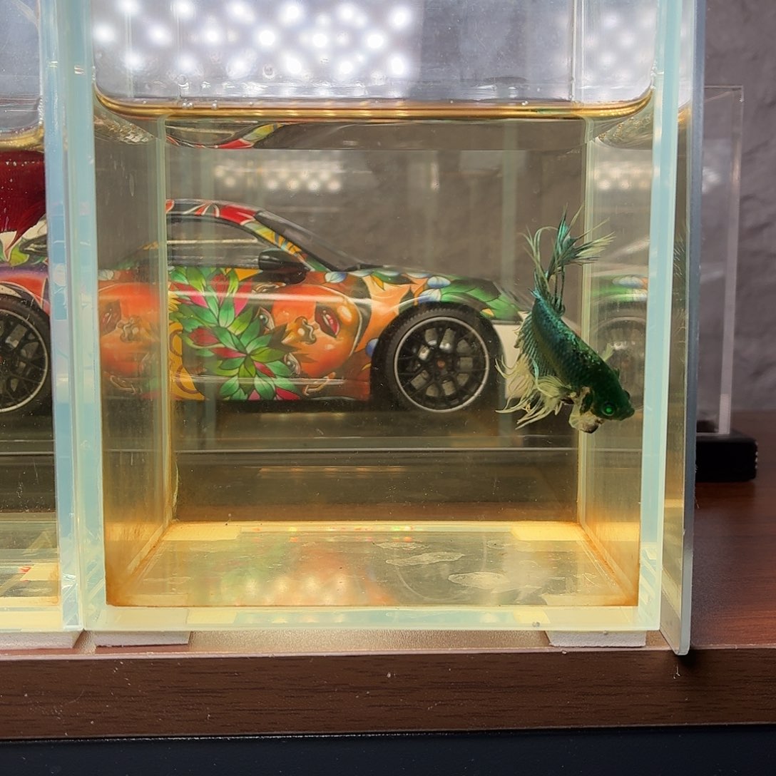 斗鱼蓝色绿魔狮王