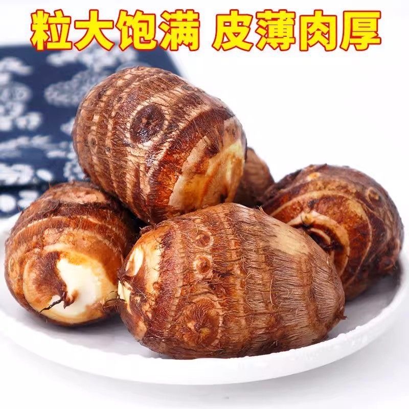 高山应季牛奶小芋头香甜软糯现挖现发