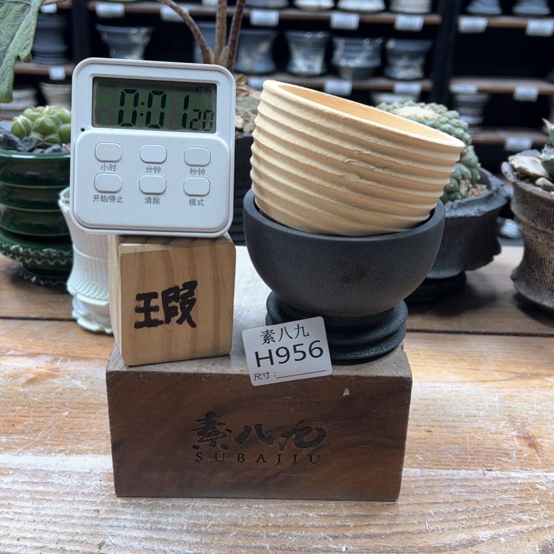 素八九陶瓷内口两个✨***不