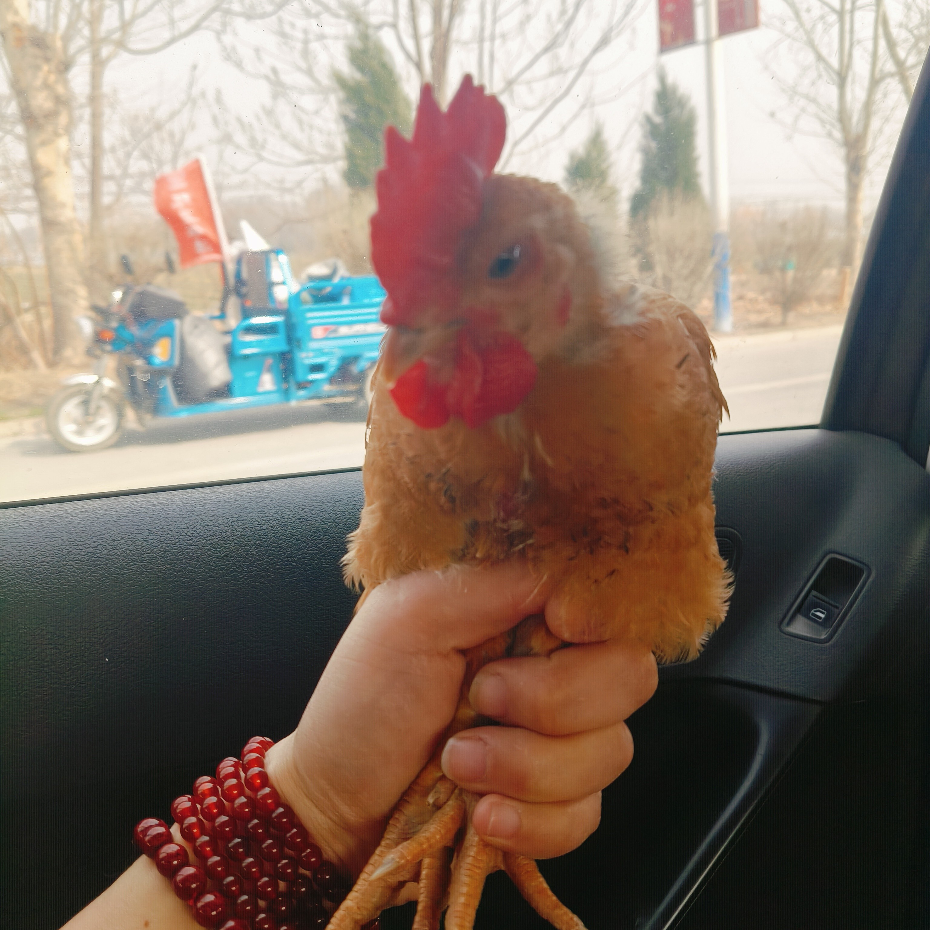 【巧姐顺丰包邮】九斤红七两左右顺丰中通发货