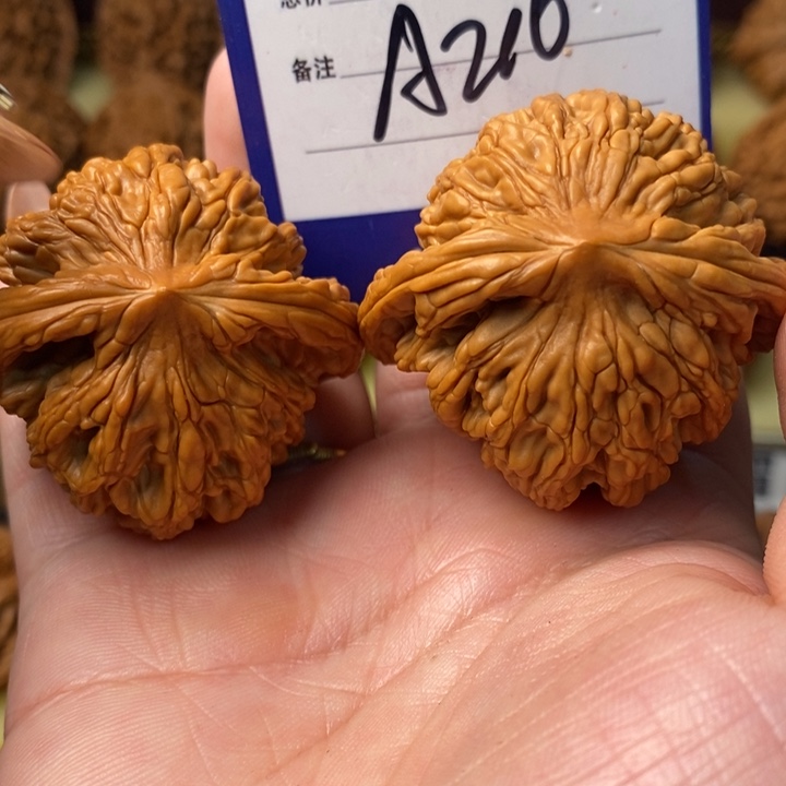 H***哥桃核把件全品粗筋虎