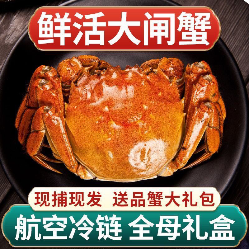 【活蟹现发】鲜活大闸蟹 公蟹6.0-5.7两到手4/6/8只