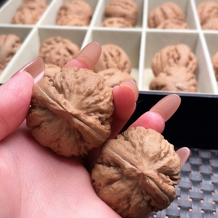请***仔霸王龙核桃尺寸40